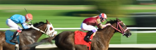 HorseRacing_shutterstock_18583831