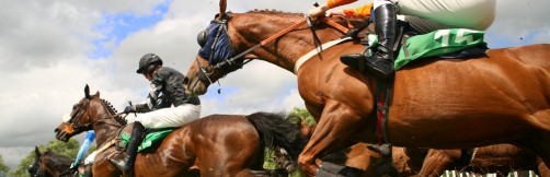 horseracing2