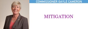 5. Mitigation
