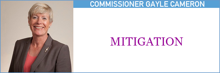 5. Mitigation - Cameron